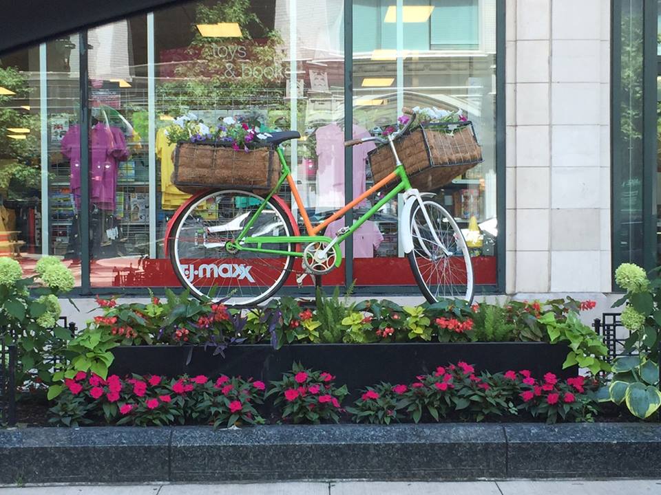 downtown bicycles