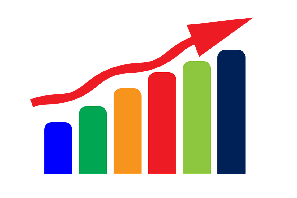 Growth graph - Retailworks Inc