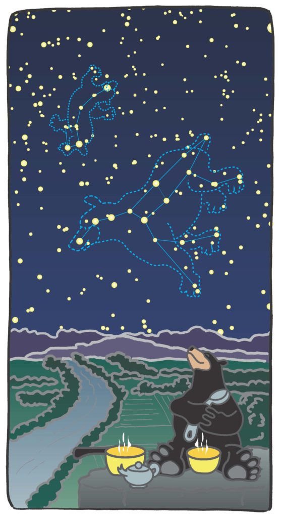 Branding and marketing illustration