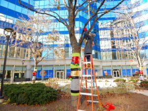 seasonal decorations