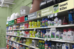 steins garden and home design