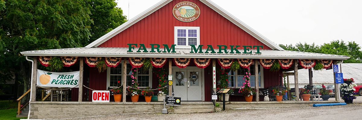 farm market