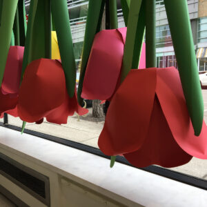 tulip display prop