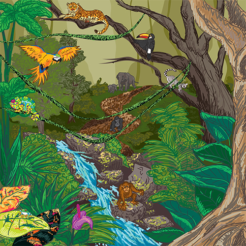 jungle illustration