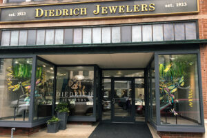 spring dragonfly window display