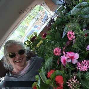 Flowers, flowers, flowers