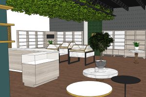 cbd store design