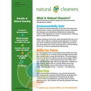 natural cleaners poster design