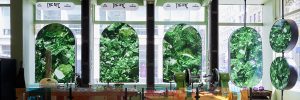 thc nyc cannabis museum interior design