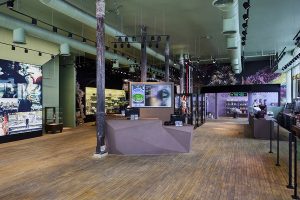 thc nyc cannabis museum interior design