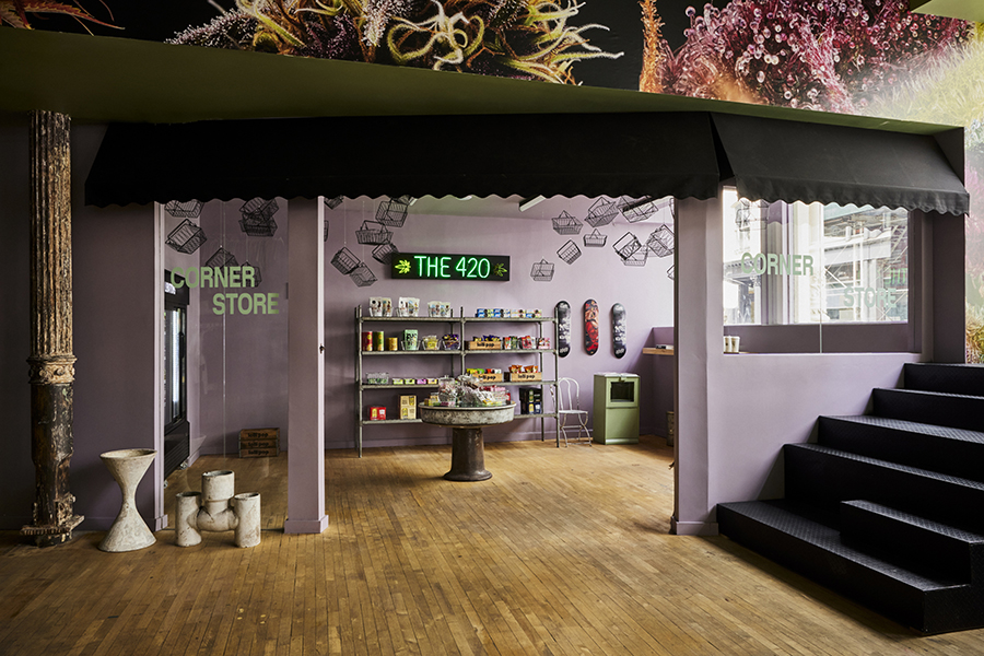 thc nyc cannabis museum interior design