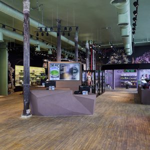 The House of Cannabis (THC NYC)