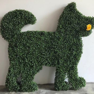 Image for choice number 8