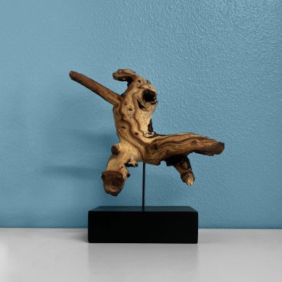 Image for choice number 16