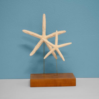 Image for choice number 4