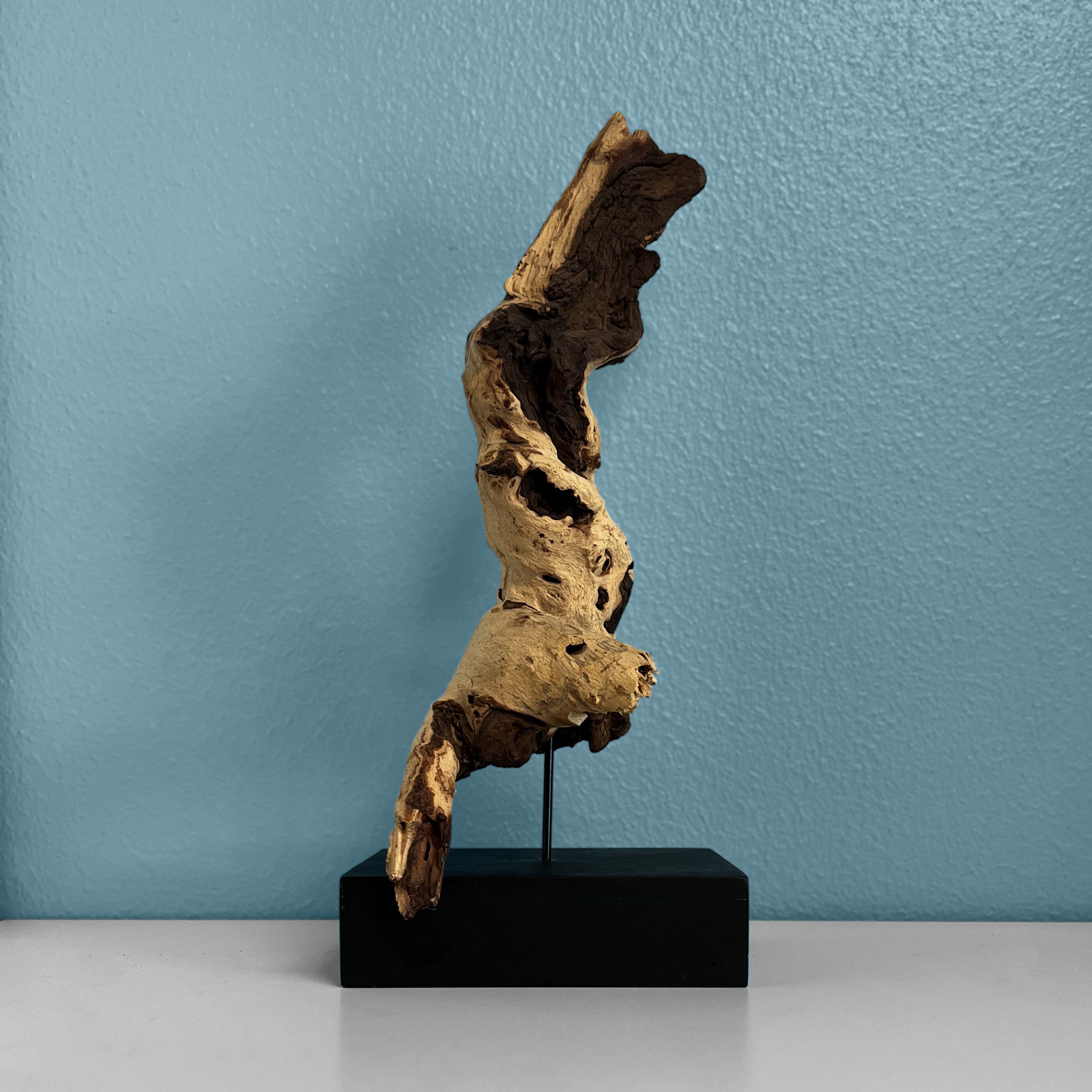 Tall Petrified Driftwood